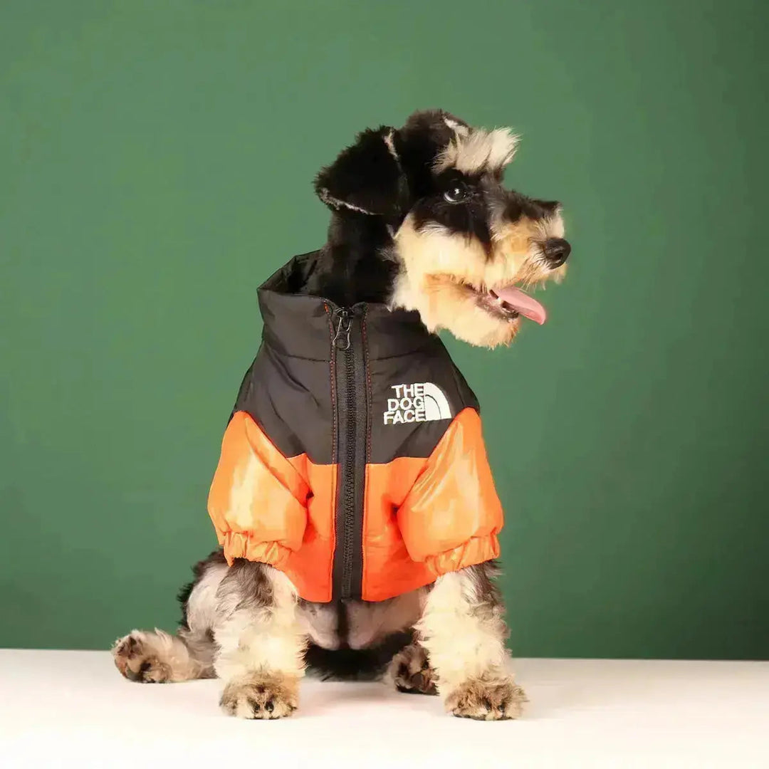 Stornfield | The Dog Face Jacket - Type A