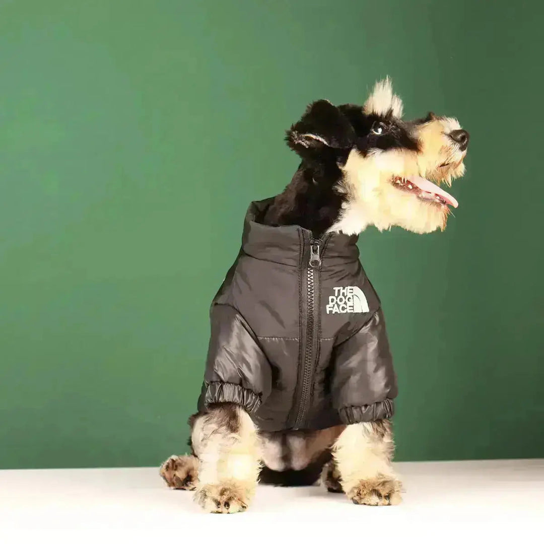 Stornfield | The Dog Face Jacket - Type A