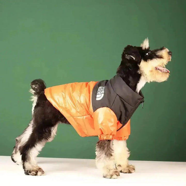 Stornfield | The Dog Face Jacket - Type A