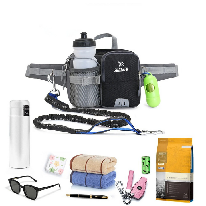 Dog Leash Hip Bag Set | Stornfield