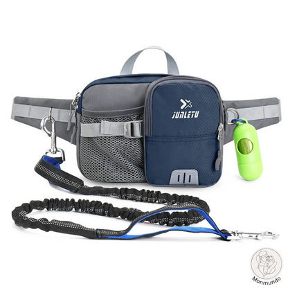 Dog Leash Hip Bag Set | Stornfield
