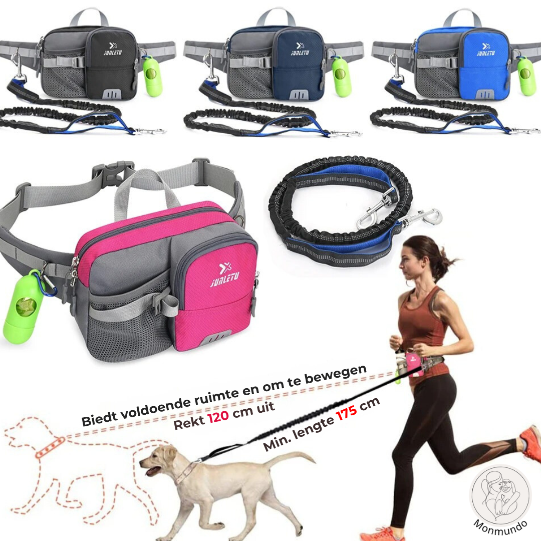 Dog Leash Hip Bag Set | Stornfield