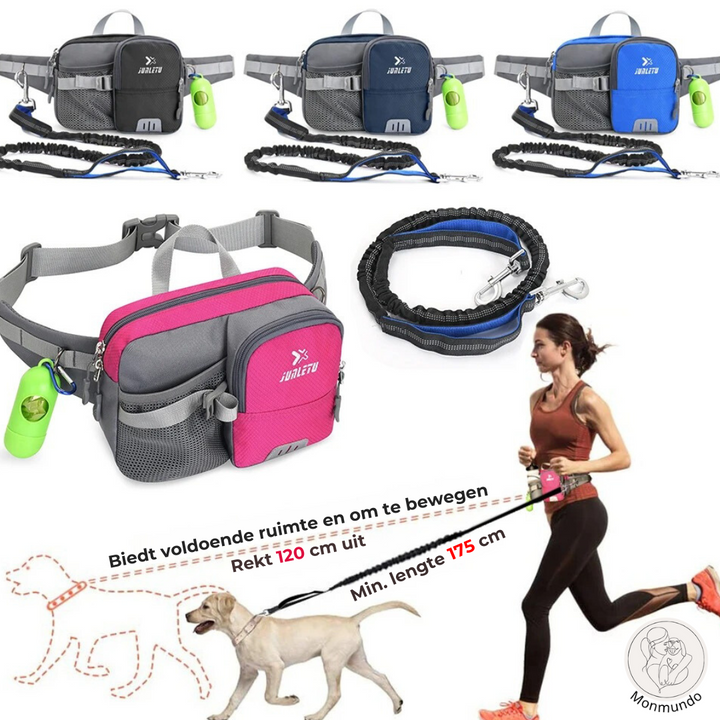 Dog Leash Hip Bag Set | Stornfield