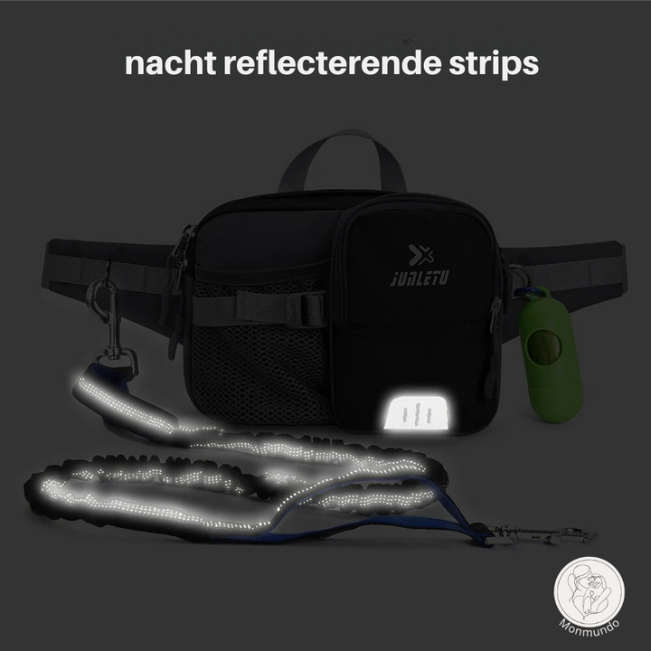 Dog Leash Hip Bag Set | Stornfield