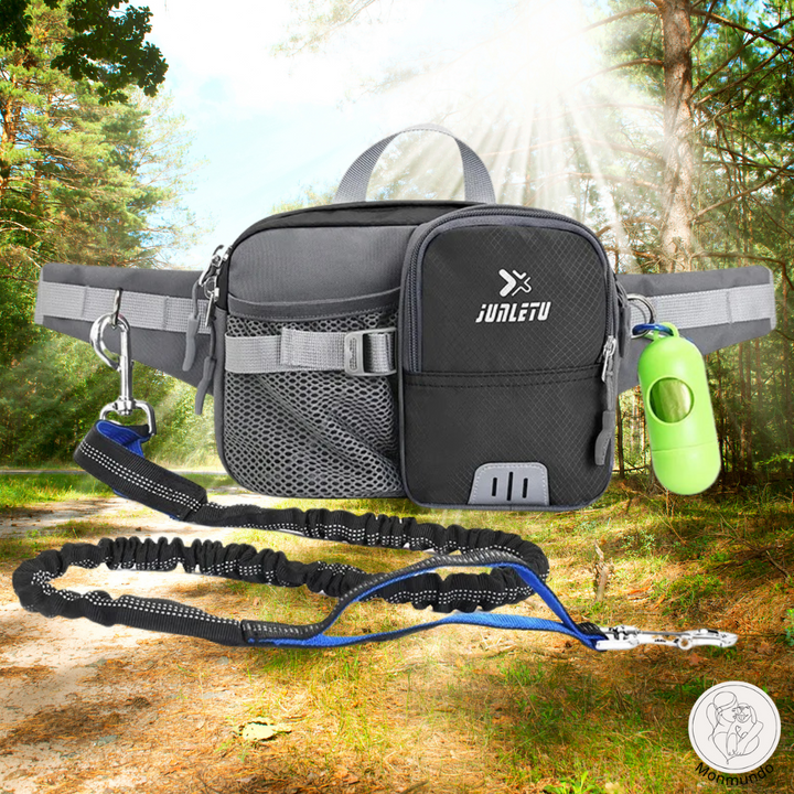 Dog Leash Hip Bag Set | Stornfield