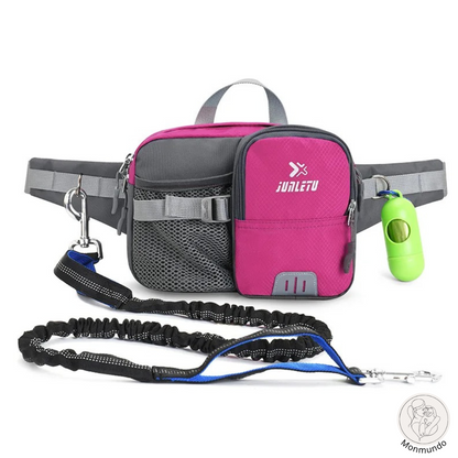 Dog Leash Hip Bag Set | Stornfield