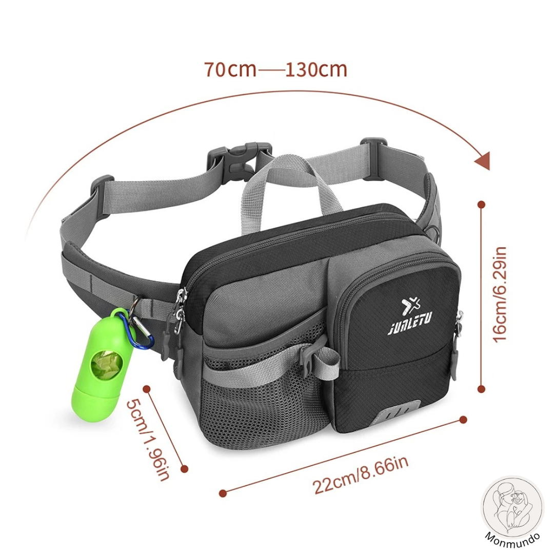 Dog Leash Hip Bag Set | Stornfield
