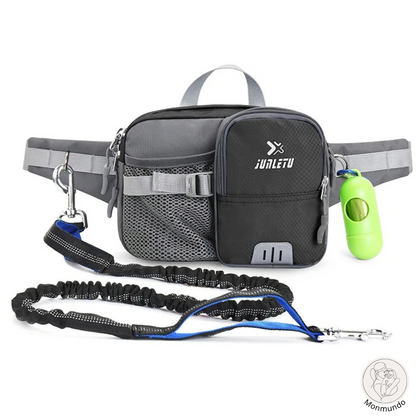 Dog Leash Hip Bag Set | Stornfield