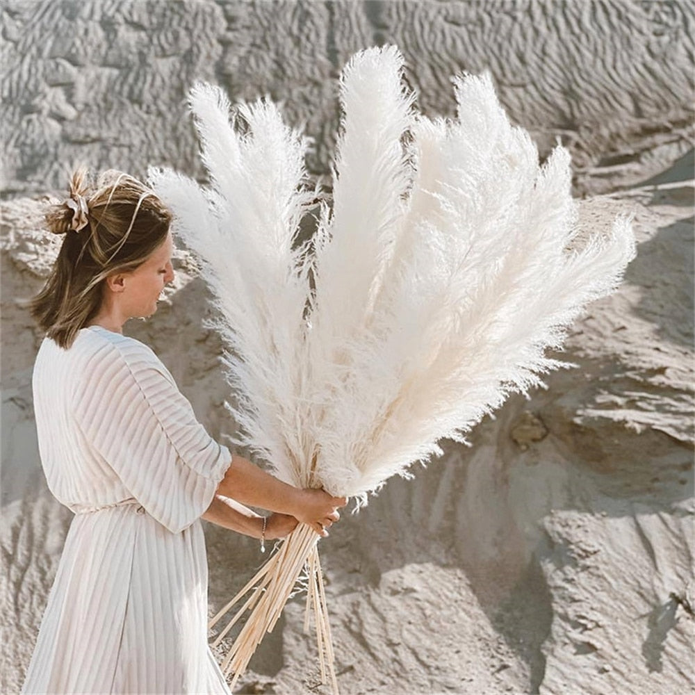 Stornfield | FeatherFawn - Dried Pampas Flowers