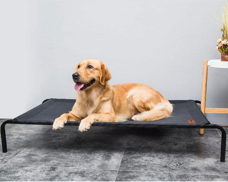 Duke - Elevated Breathable Mesh Bed | Stornfield
