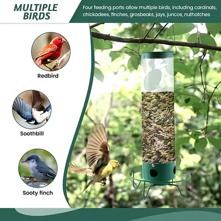 Stornfield | Bird Feeder | Squirrel-Proof Hanging Seed Feeder Outdoor