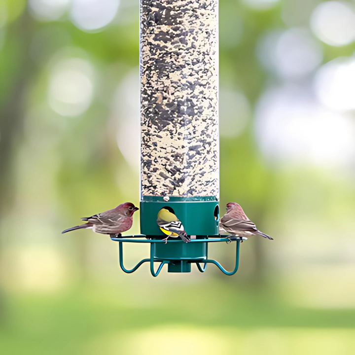 Stornfield | Bird Feeder | Squirrel-Proof Hanging Seed Feeder Outdoor