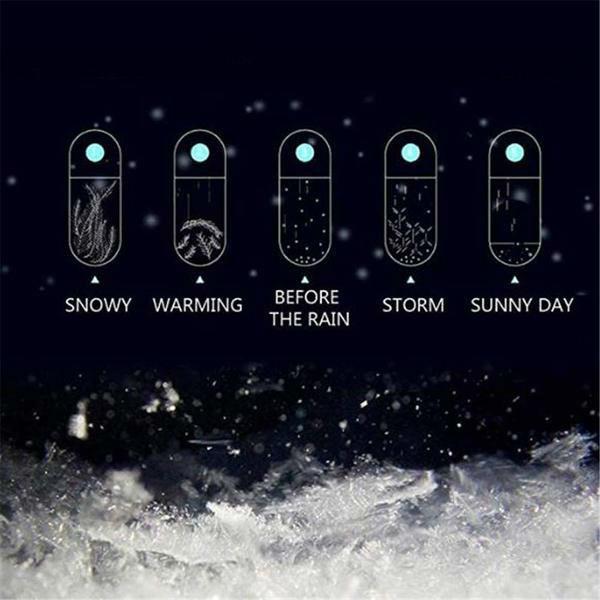 Stornfield | Storm Glass Weather Predicting Forecast Bottle Crystal Desktop Barometer with Wooden Base