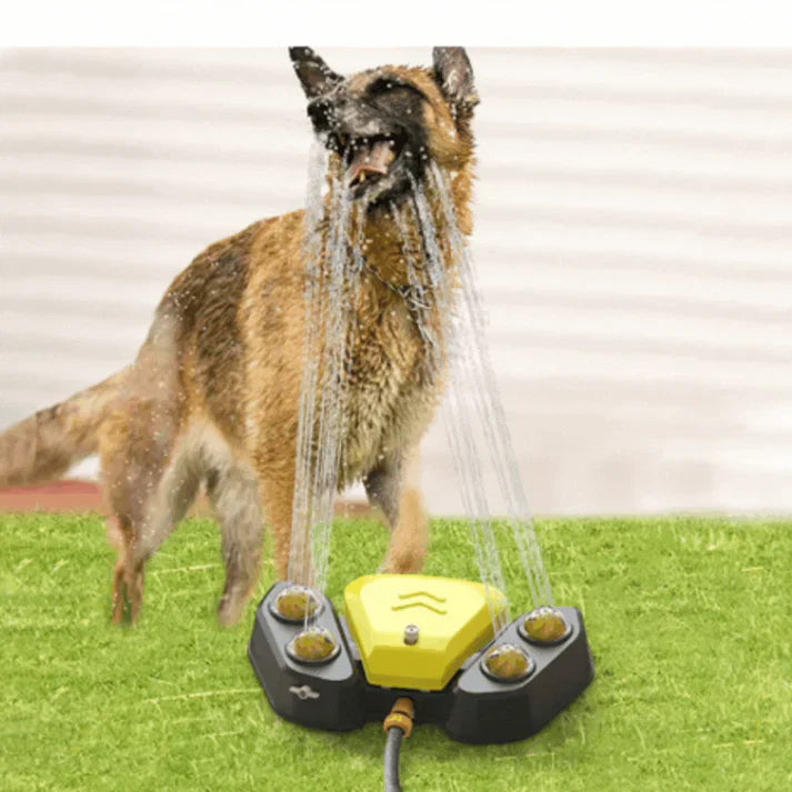 Multifunctional dog sprinkler with drinking fountain Stornfield
