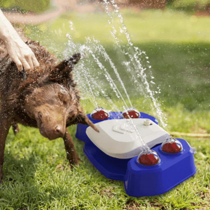 Multifunctional dog sprinkler with drinking fountain Stornfield