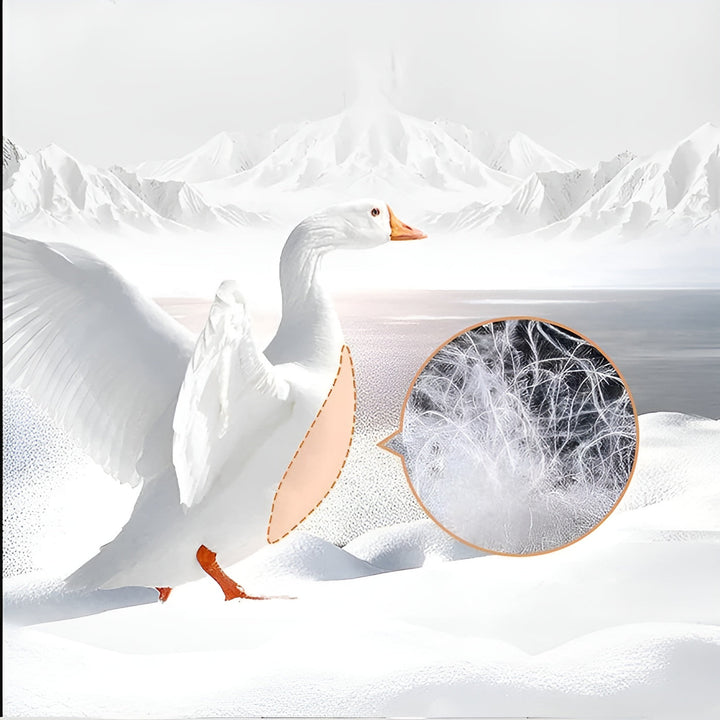 Down pillows with goose down – Luxurious, soft, and hypoallergenic | 100% cotton with optimal neck support | Stornfield