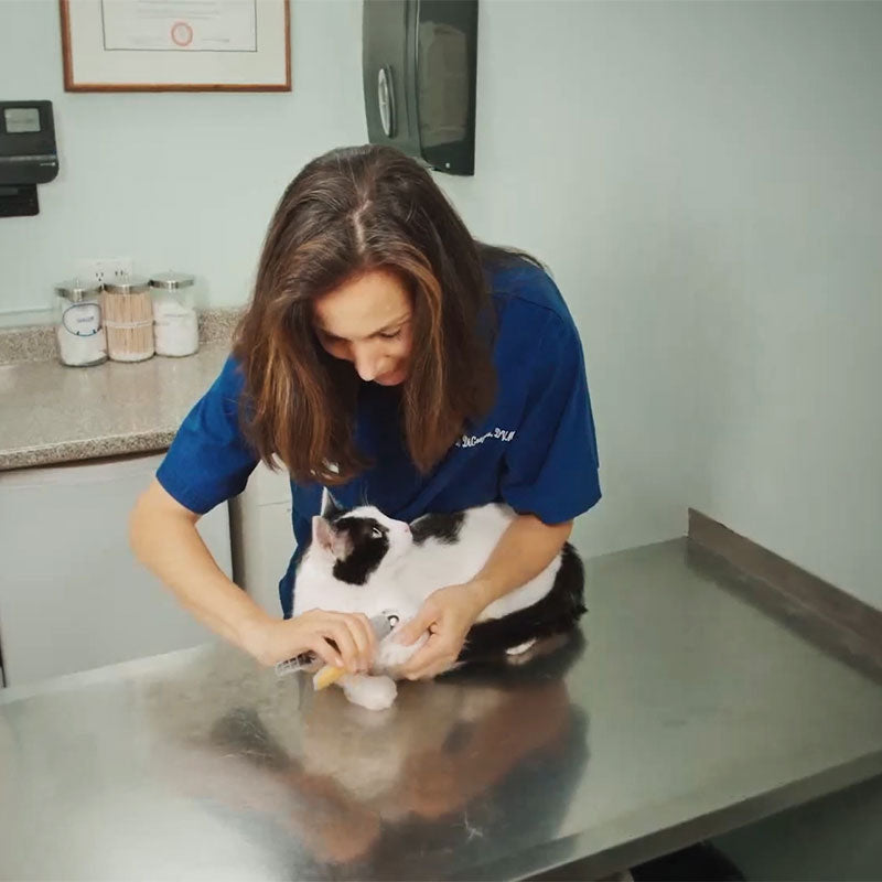 MAX - Best Dog Nail Clipper with Quick Sensors | Safe & Ergonomic | Stornfield