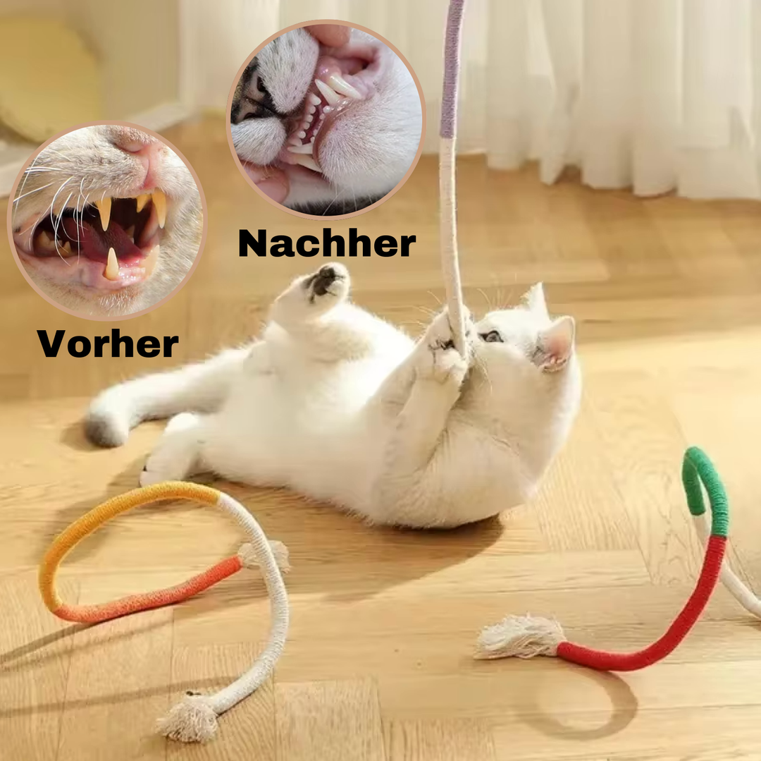 Dental care toy for cats | Stornfield