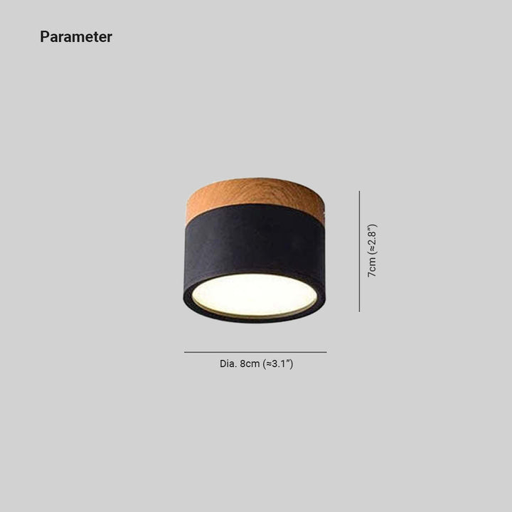 Morandi Style Modern LED Ceiling Lamp - LumiModo | Stornfield