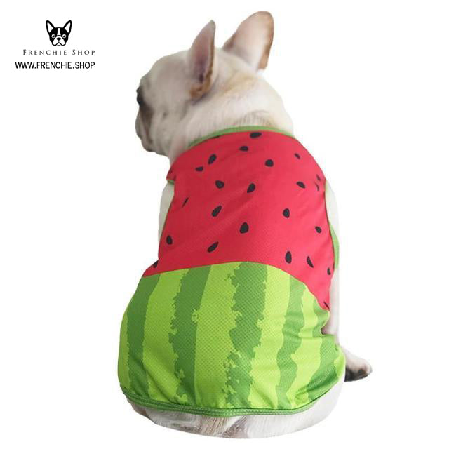 Coolify™ V2: Summer Cooling Shirt (CS18) | Stornfield