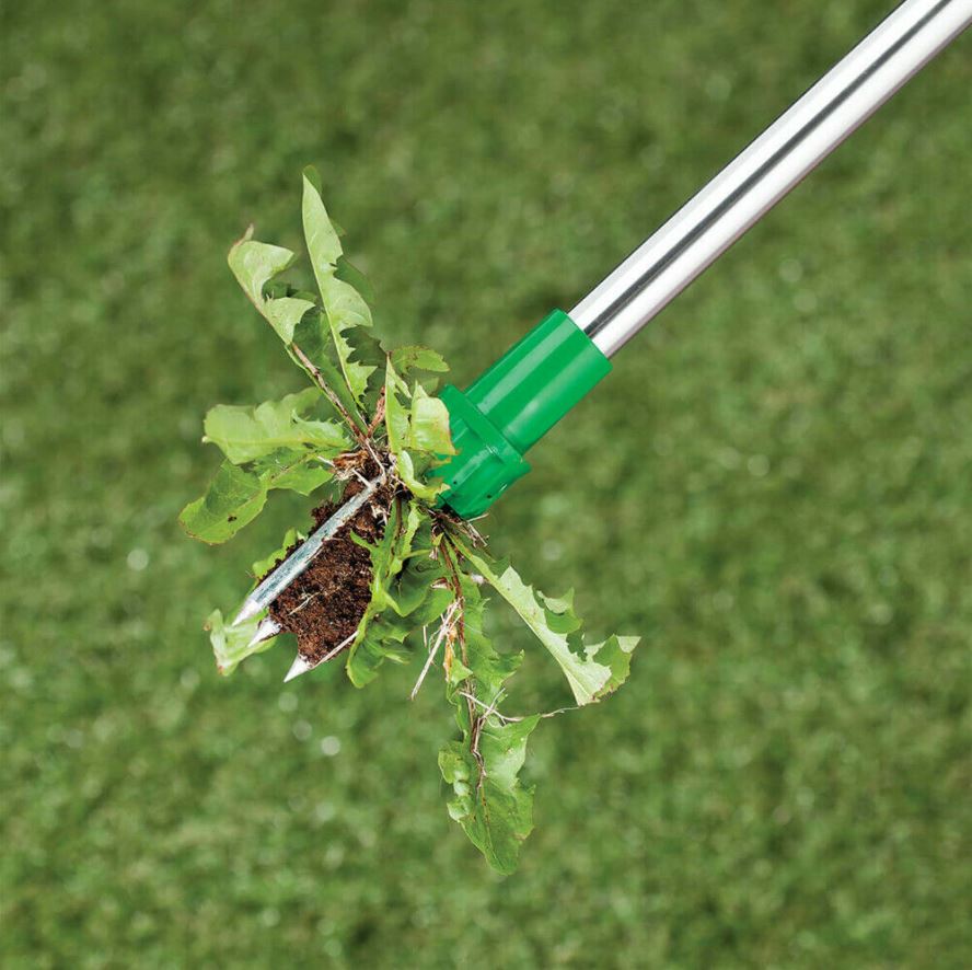 Stand-up Weeder | Stornfield