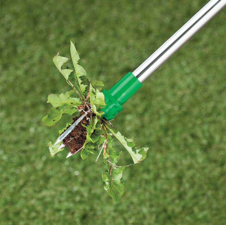 Stand-up Weeder | Stornfield