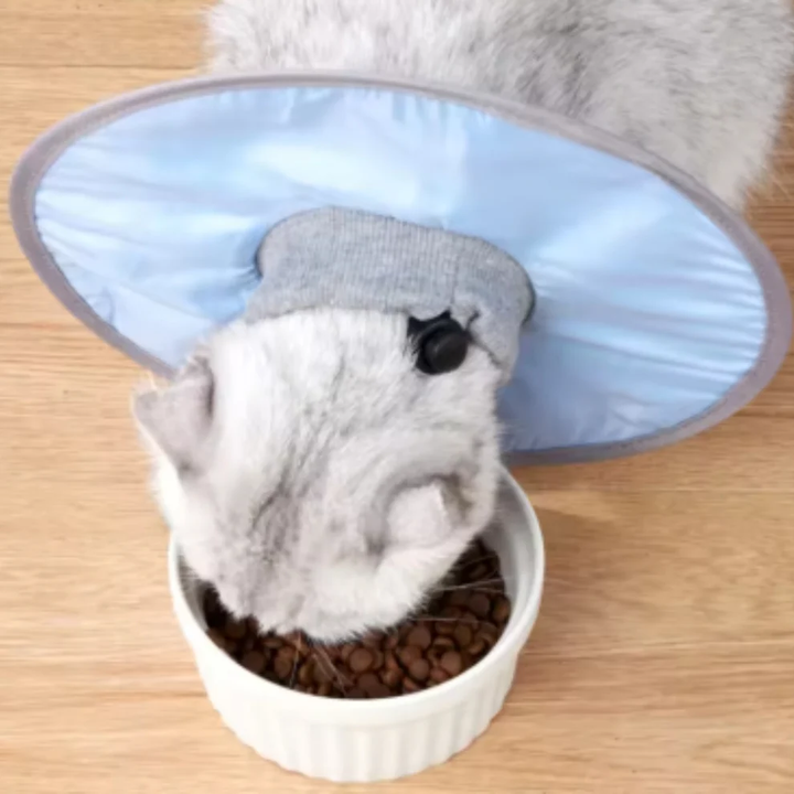 Stornfield soft & comfortable cat protection collar