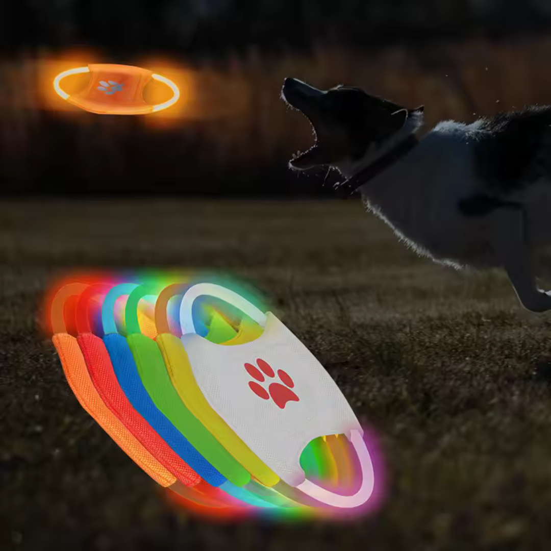 LED Frisbee for dogs, rechargeable and waterproof, Stornfield
