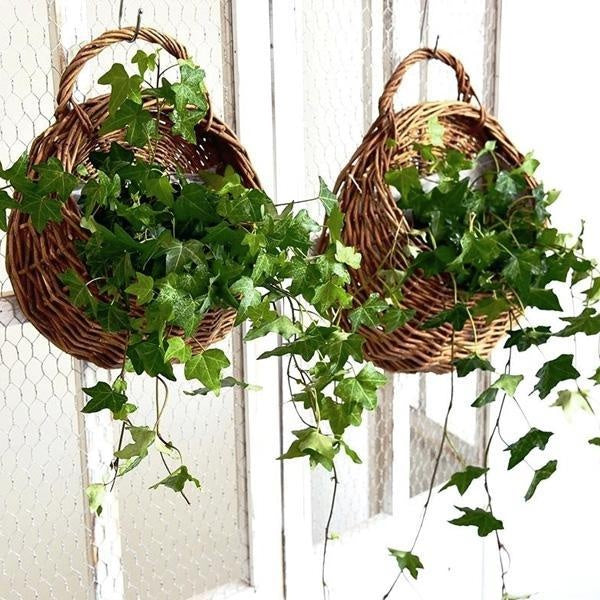 Woven Hanging Planter Wicker Basket | Stornfield