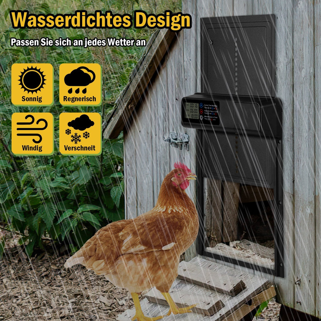 Chicken flap automatic timer | Stornfield