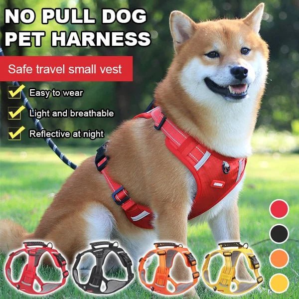 DogGrip Walk Safely with Your Dog | Stornfield