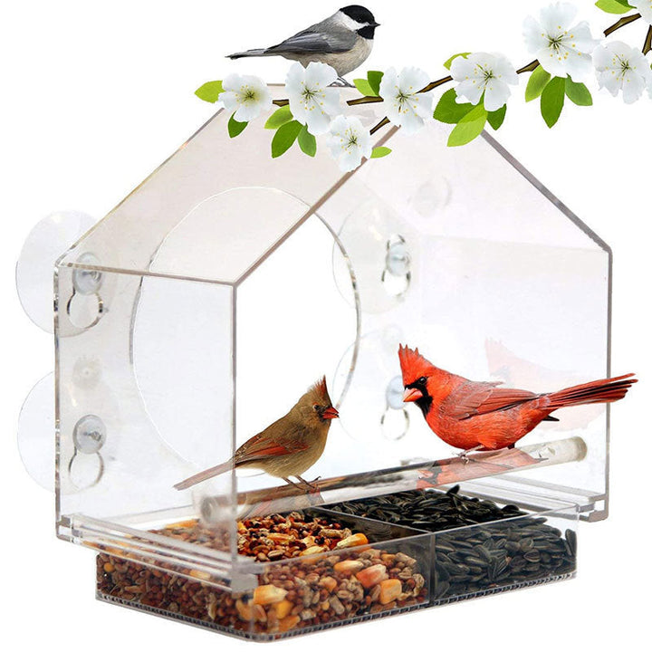 Smart Bird Feeder with Live Camera | Stornfield