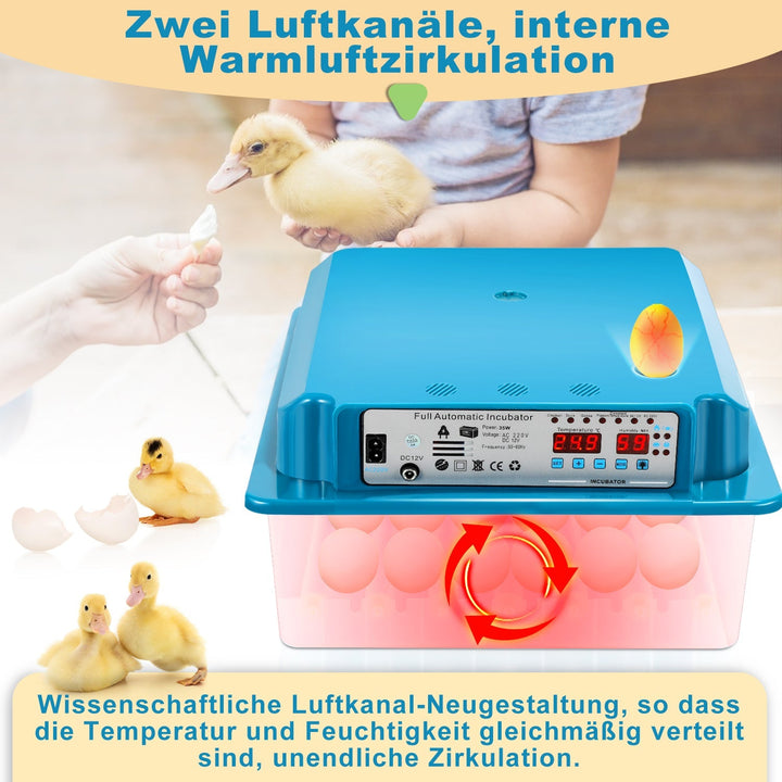 Brutautomat Fully Automatic Incubator for Chickens 36 Eggs | Stornfield