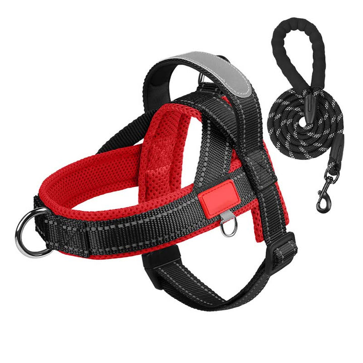 PawEase Comfort Harness — Relaxed Dressing and Unlimited Freedom for Your Dog | Stornfield