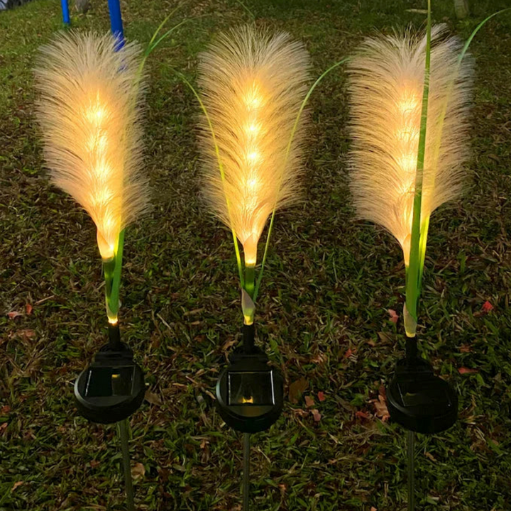 Decorative fiber optic solar lights for gardens | Stornfield