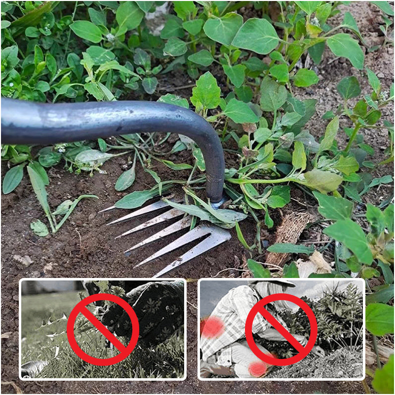 TerraClear — Effortlessly frees your garden from weeds and gives you limitless planting freedom | Stornfield
