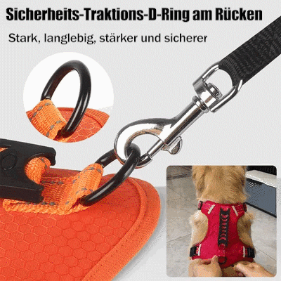 Stornfield | No-pull Dog Harness for Pets