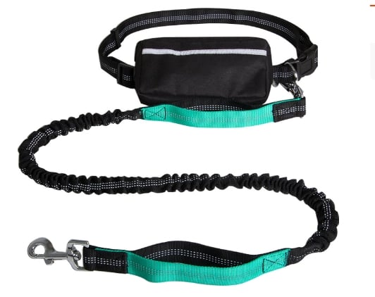 FlowLeash — Experience gentle control and relaxed walks without jerks! | Stornfield