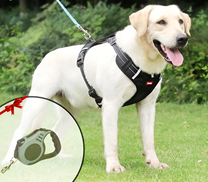 Anti-Trek Dog Harness - FlexiFit Stornfield