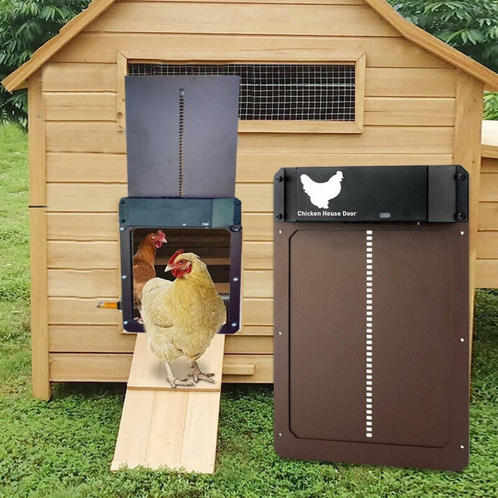 Coop-Wache | Automatic Chicken Door | Stornfield