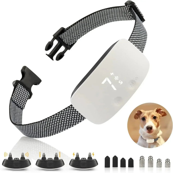 StilPoot Dog Training Collar Rechargeable and Waterproof | Stornfield