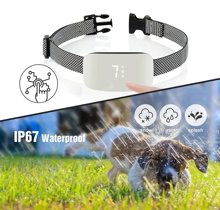 StilPoot Dog Training Collar Rechargeable and Waterproof | Stornfield