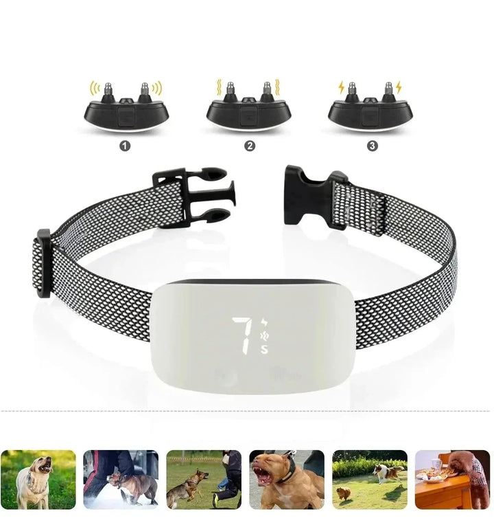 StilPoot Dog Training Collar Rechargeable and Waterproof | Stornfield
