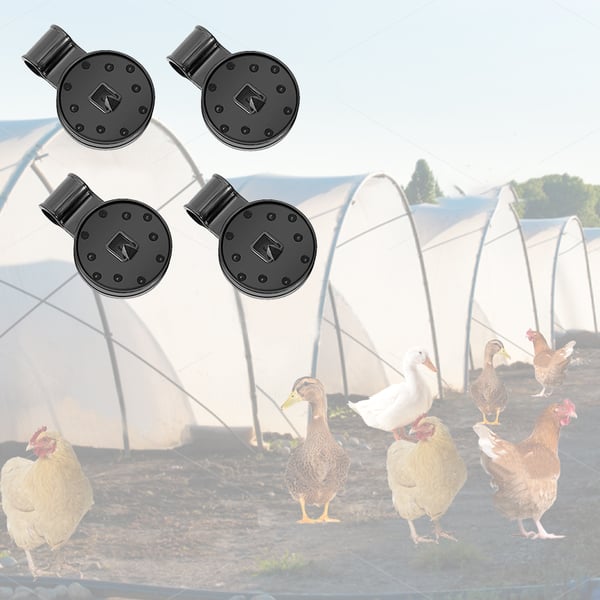 Clippers | Plant-based Sun Protection | Stornfield