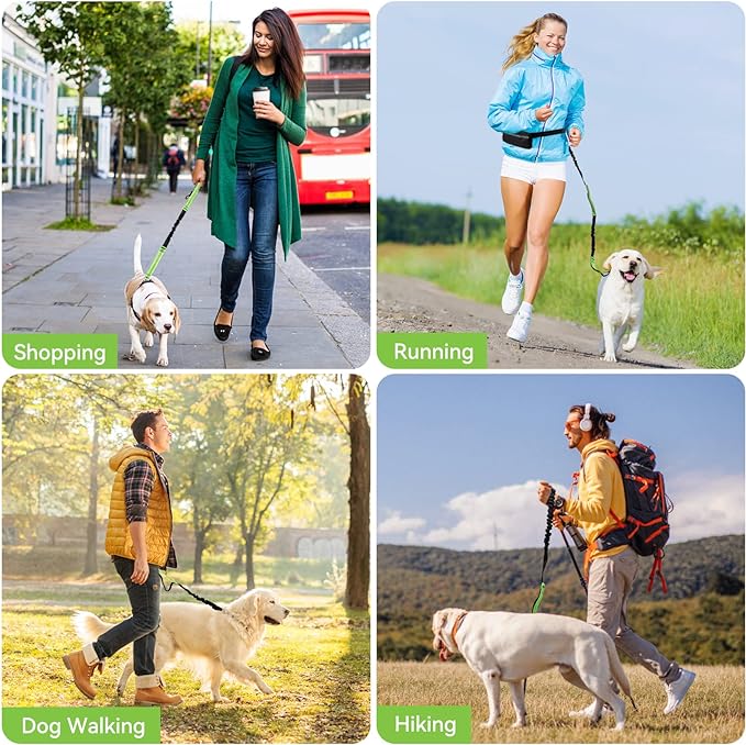 FlowLeash — Experience gentle control and relaxed walks without jerks! | Stornfield