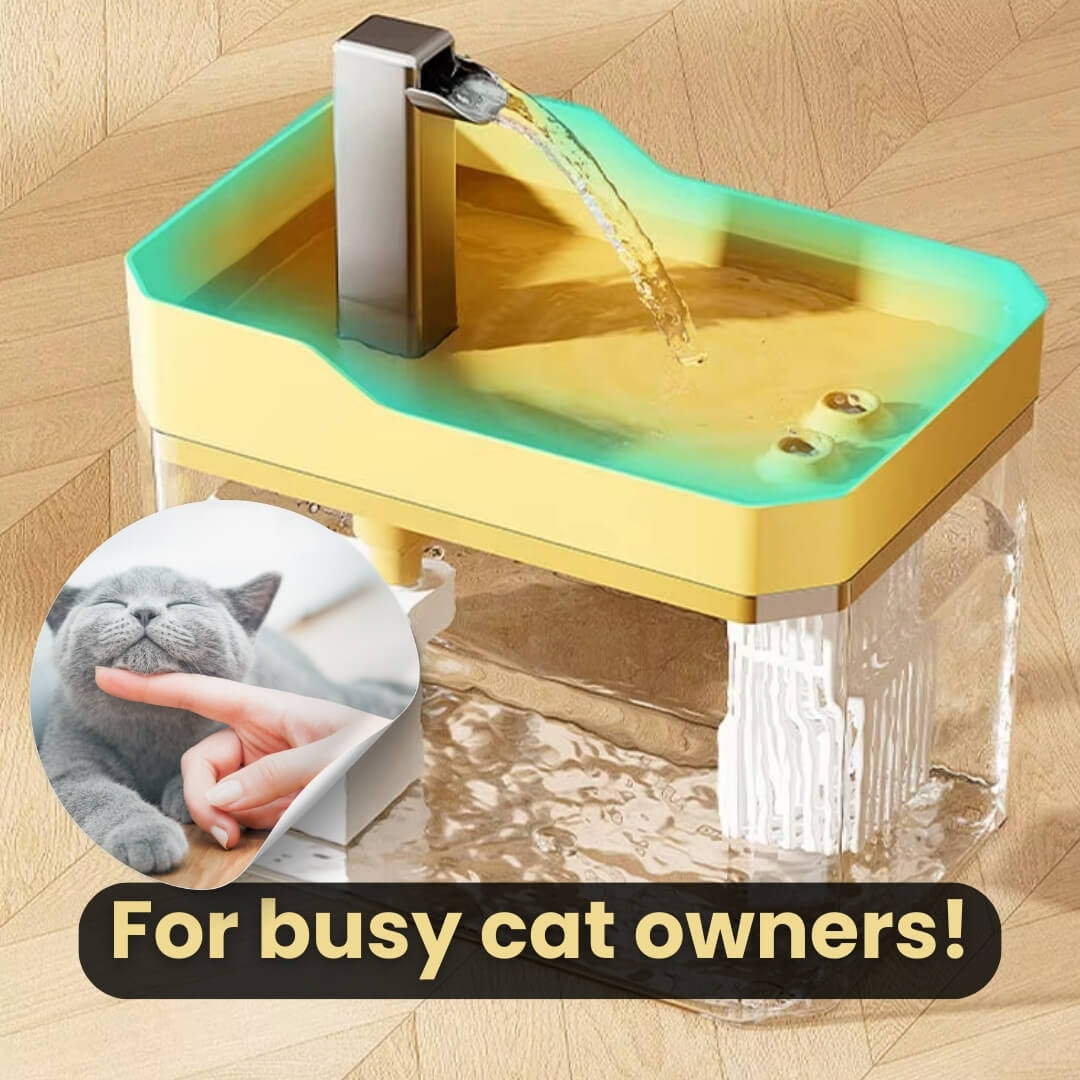 Cat Drinking Fountain 360° Sensor 1.5 L Quiet | Stornfield