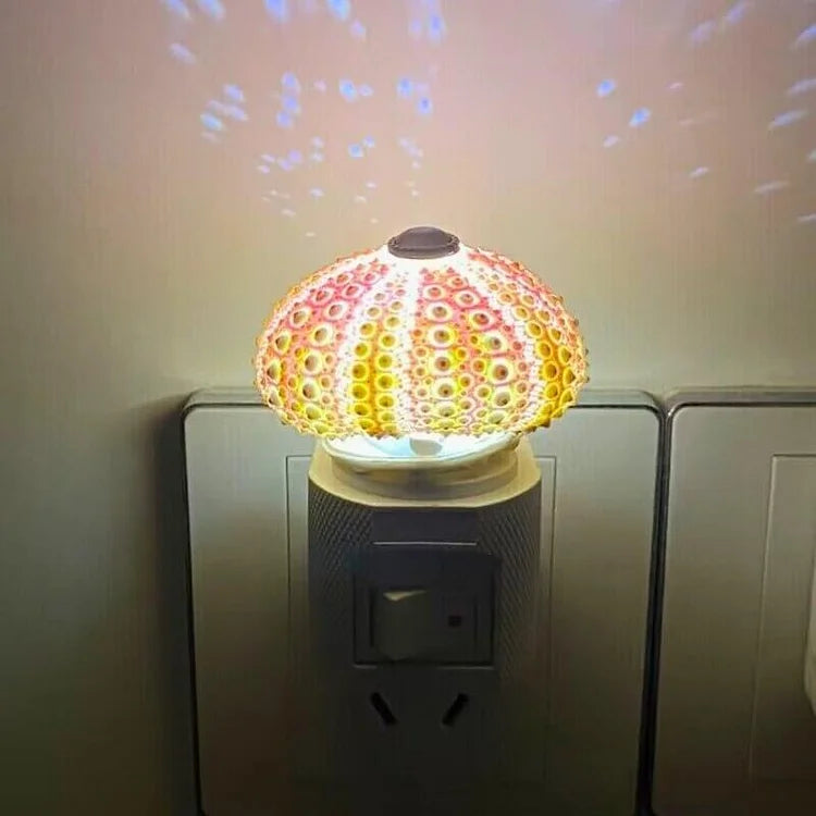 Stornfield | LumiCraft – Unique DIY Table Lamp with Natural Seashell for a Cozy Decoration