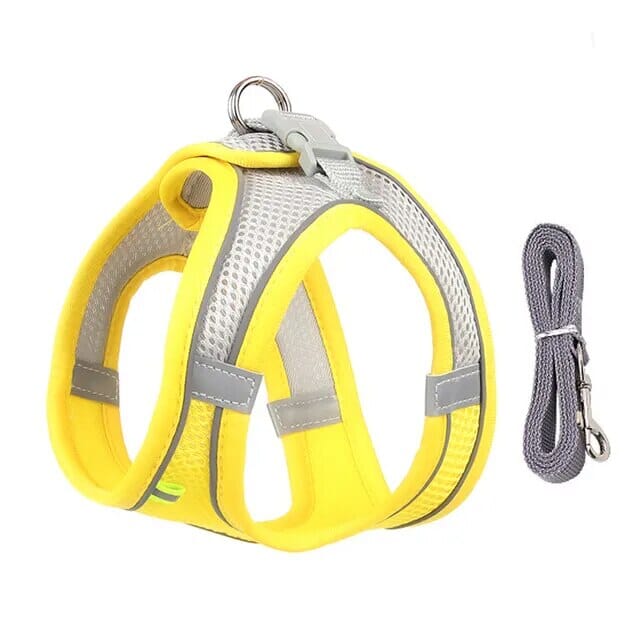 Stornfield Venture Dish & Leash