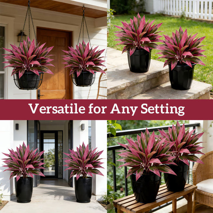 VerdoGlow — Vibrant freshness without effort that will transform your home forever | Stornfield