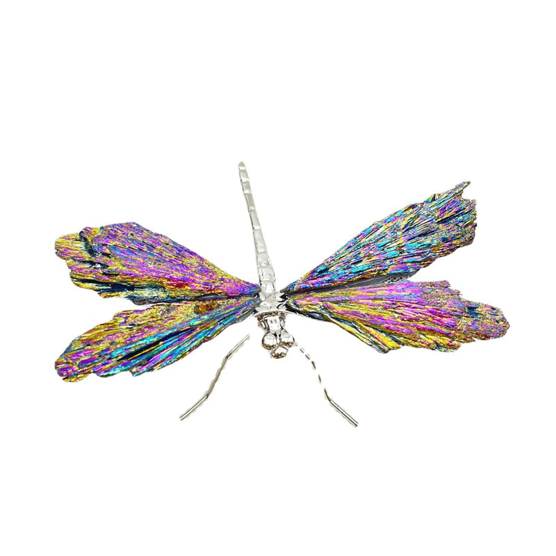 AURA TOURMALINE KYANITE DRAGONFLY | Stornfield